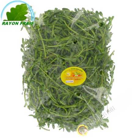 Rau dang viet nam (100g)- FRESCO