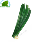 Lá dứa Thái Lan 100g- tươi