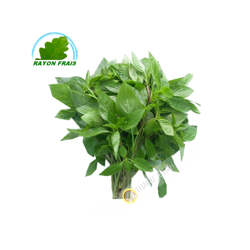 Basilico Rau Che la Thailandia 100g - FRESCO