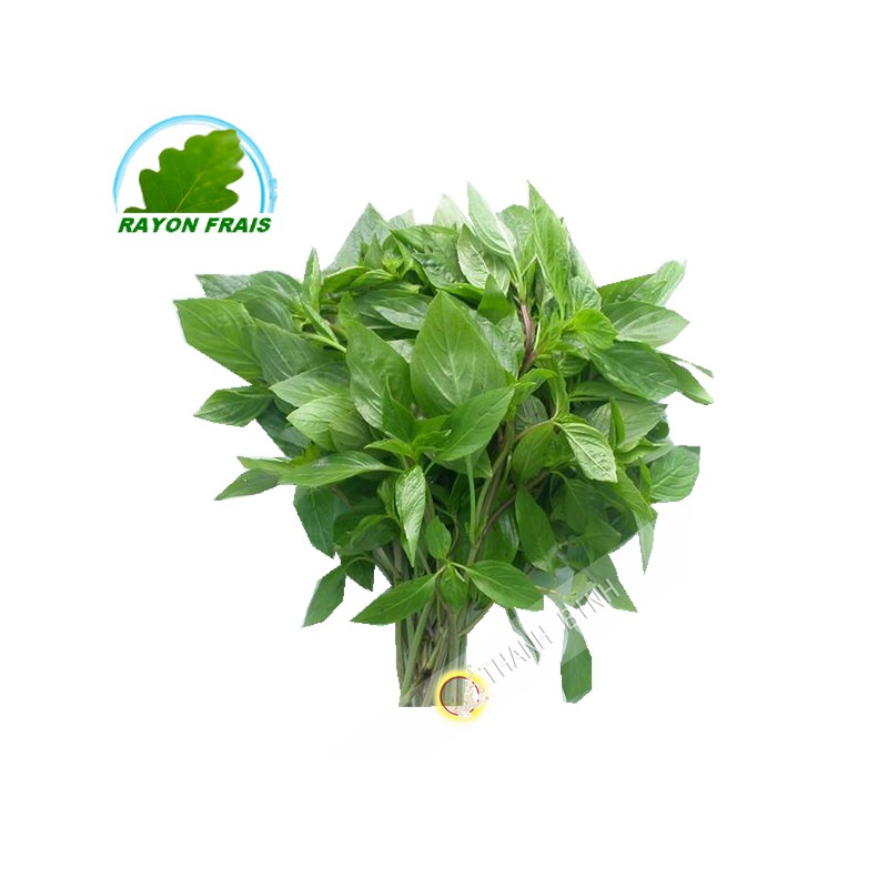 Basil 100g