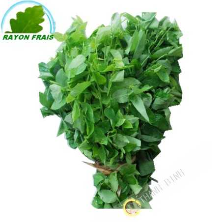 Bo ngot Vietnam (200g)- COSTS