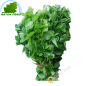 Bo ngot Vietnam (200g)- COSTOS de