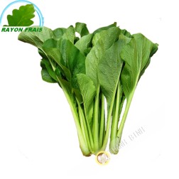 Cai ngot (kg)