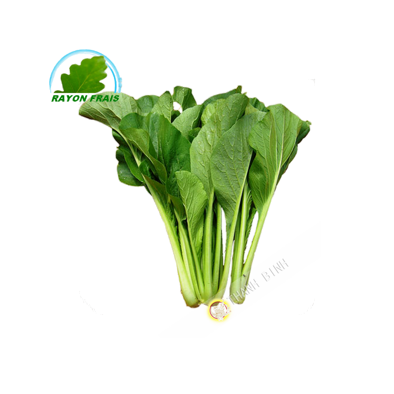 Chou Cai ngot España 500g - FRESCO