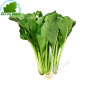 Chou Cai ngot España 500g - FRESCO