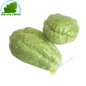 Chayotte Costa Rica (pièce)- FRAIS - Env. 300g