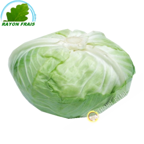 White cabbage, Japanese (kg)