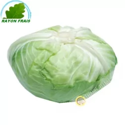 Repollo blanco, Japonés (kg)