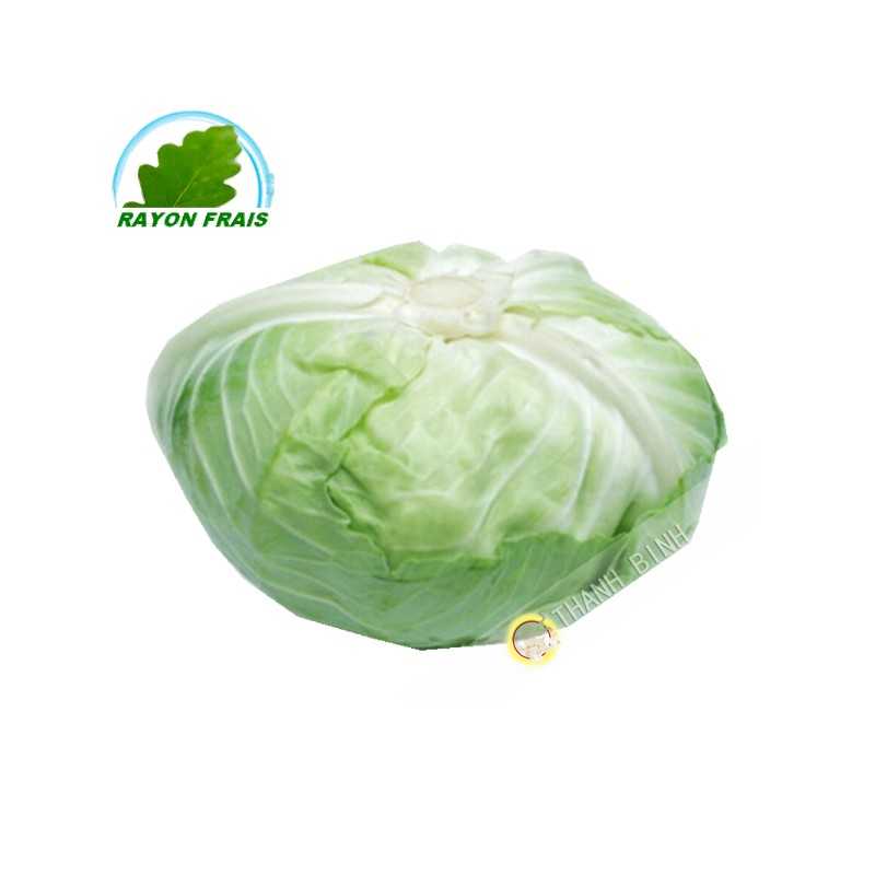White cabbage, Japanese (kg)
