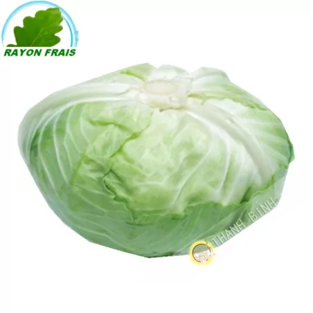 Chou blanc Japonais (kg)