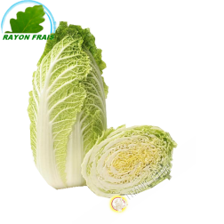 Chinese cabbage (piece)- COST - Approx. 1kgs
