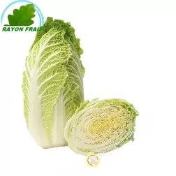Chinese cabbage (piece)- COST - Approx. 1kgs
