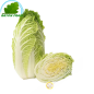 Repollo chino (pieza) COSTO Aprox 1 rey