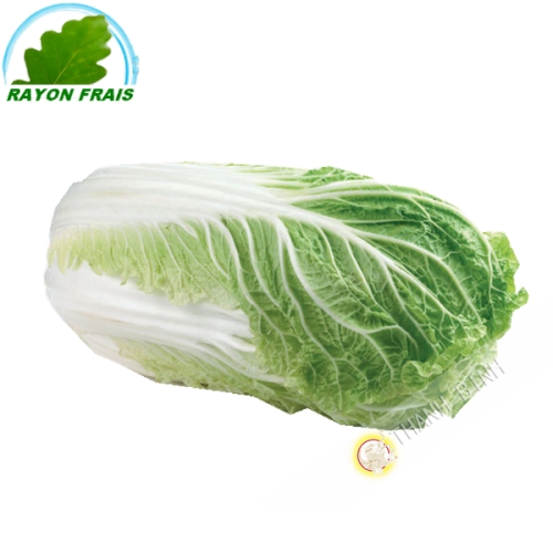 Chinese cabbage (kg)