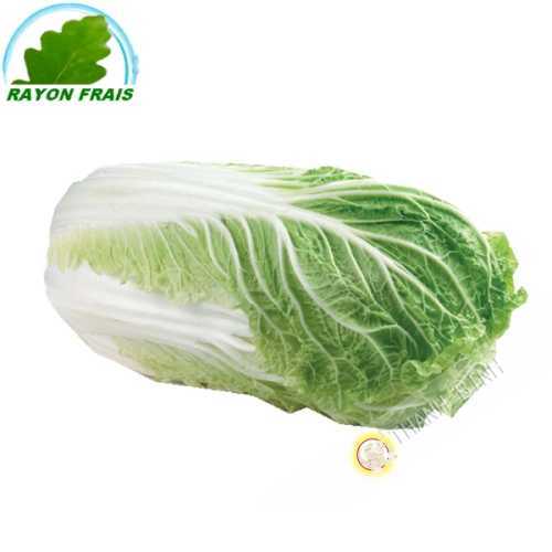 Chinese cabbage (piece)- COST - Approx. 1kgs