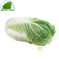 Repollo chino (pieza) COSTO Aprox 1 rey