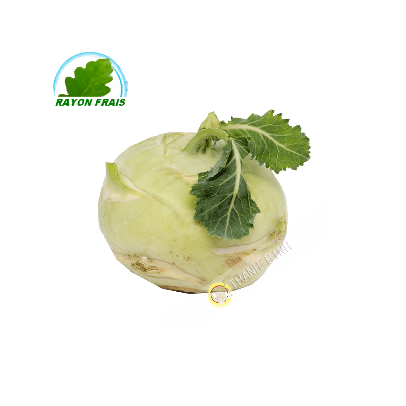 Kohlrabi Italy (piece)- FRESH