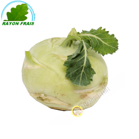 Kohlrabi Italy (piece)- FRESH