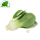 Cabbage Shanghai (kg)