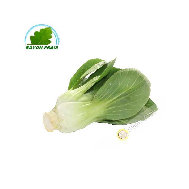 Cavolo Shanghai (kg)