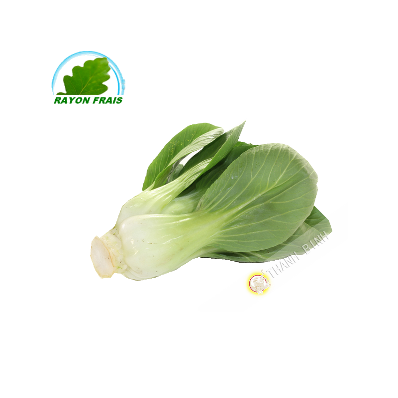 Chou Shanghai (800g)- FRAIS
