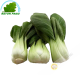 Cabbage Shanghai (kg)