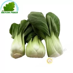 Cabbage Shanghai (800g)- COSTS