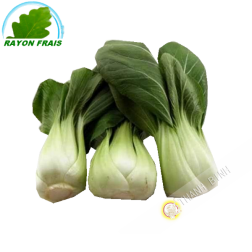 Kohl Shanghai (800g)- KOSTEN
