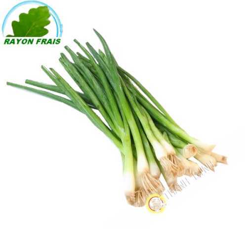 Chives FRANCE 200g - FRESH