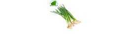 Chives FRANCE 200g - FRESH