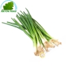 Chives FRANCE 200g - FRESH