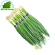 Chives 100g