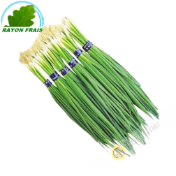 Hành lá 200g- Tươi