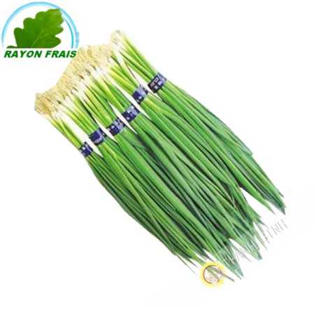 Ciboulette 200g- FRAIS