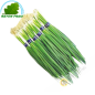 Ciboulette 200g- FRAIS