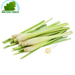 Lemongrass Vietnam 200g - FRESCO