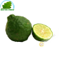 Combava (2pcs)- COST - Approx. 100g