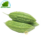 Pepino amargo (kg)- COSTOS de