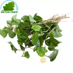Dap ca Vietnam 100 g - FRESH