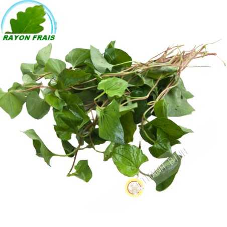 Dap ca Vietnam 100g- FRAIS