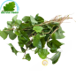 Dấp cá Việt Nam 100g- Tươi