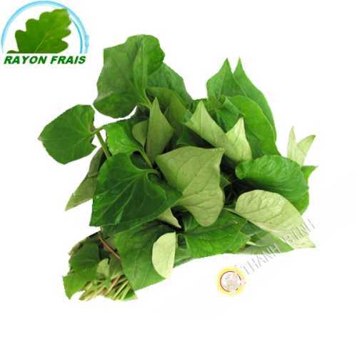 Dap ca Vietnam 100g - FRESH