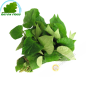Dấp cá Việt Nam 100g- Tươi