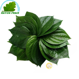 Feuille bétel Vietnam 100g - FRAIS