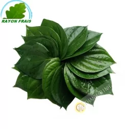 Hoja de betel Vietnam 100 g - FRESH
