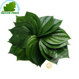 Leaf betel Vietnam 100g - FRESH