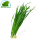 Feuille d'ail 200g - FRAIS