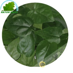 Pennywort 100g - FRESH