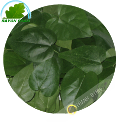 Pennywort RAU MA 100g- FRAIS