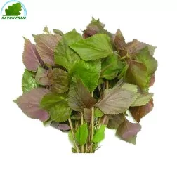 Tia 100 g - FRESH